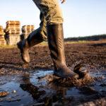 Cérès | Le Chameau | Country