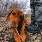 pro wading boot | orvis | fly fishing