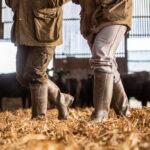 Cérès | Le Chameau | Country