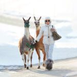 la plagne 3 | bogner | luxury