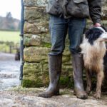 Cérès | Le Chameau | Country