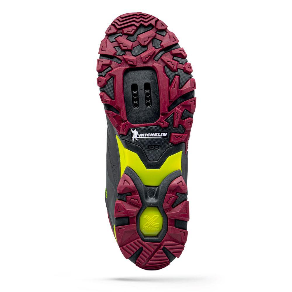 Read more about the article SPIDER PLUS 3