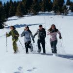 toree | evvo | snowshoes