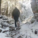 toree | evvo | snowshoes