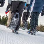 snowshoes | evvo | snowshoes
