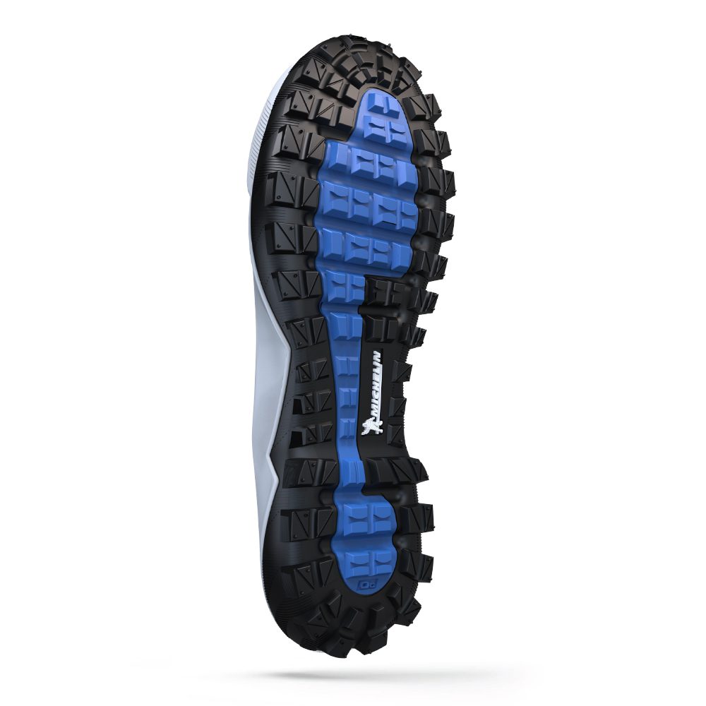 Read more about the article Wander Hiker